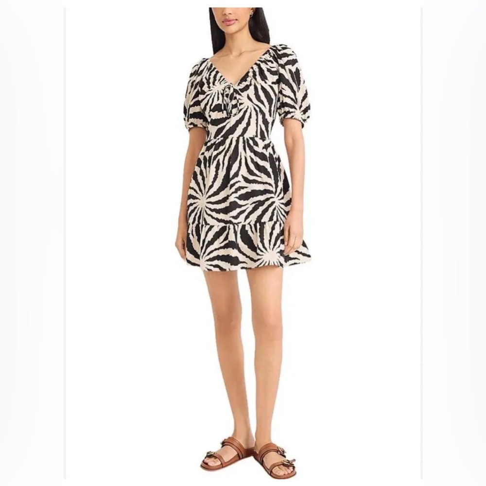 The Good Journey Zebra Print Mini Dress